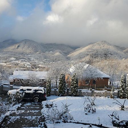Pensiunea Carma Certeju de Sus ภายนอก รูปภาพ