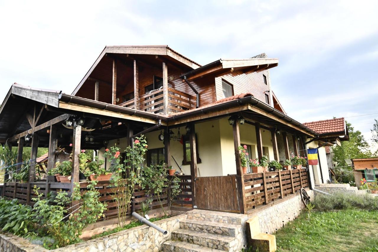 Pensiunea Carma Certeju de Sus ภายนอก รูปภาพ