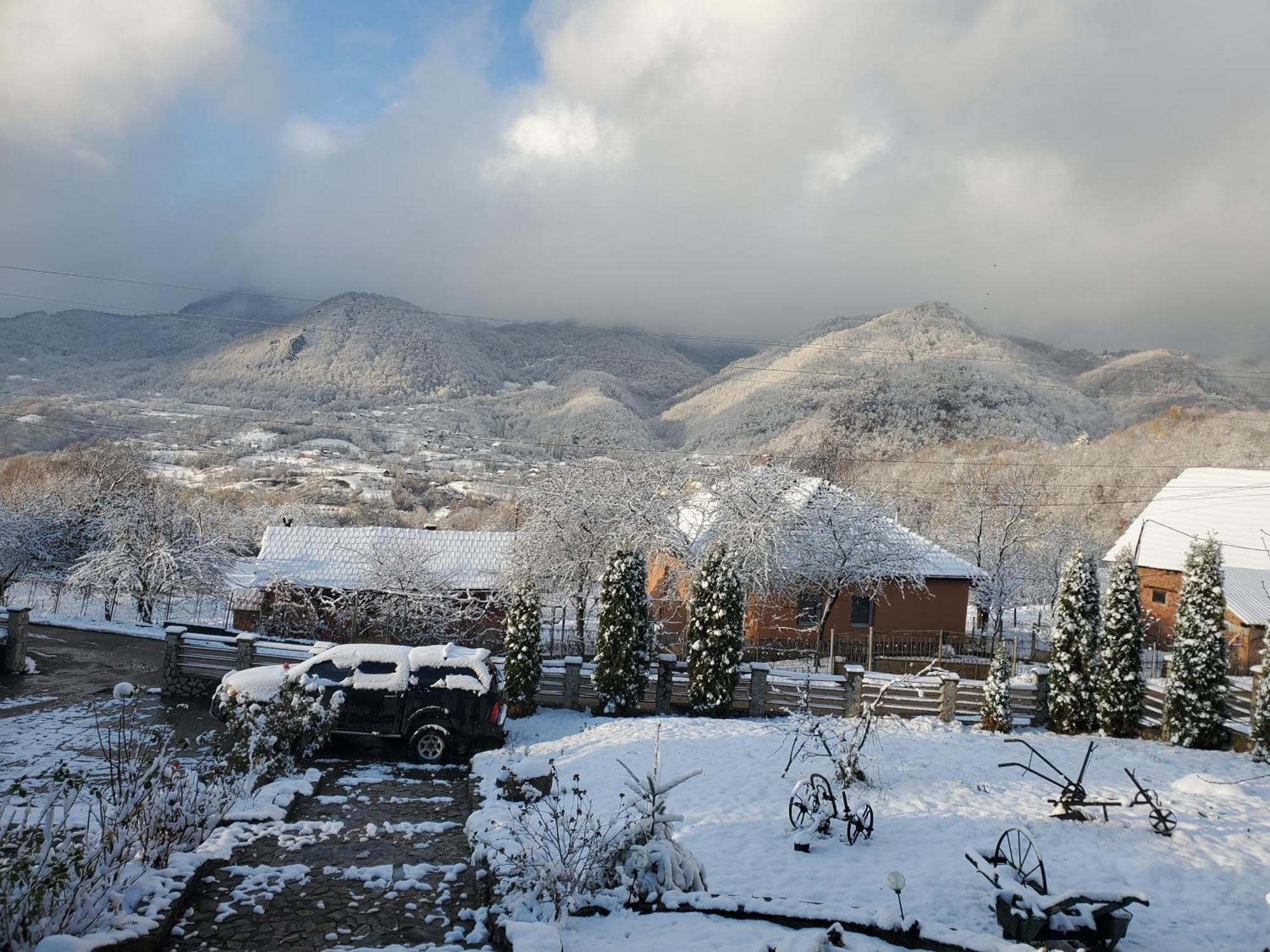 Pensiunea Carma Certeju de Sus ภายนอก รูปภาพ