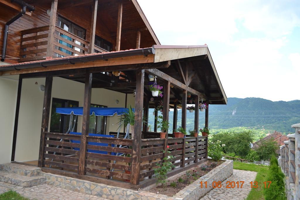Pensiunea Carma Certeju de Sus ภายนอก รูปภาพ